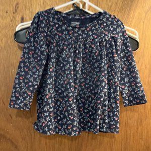 Girl's size 3T Gap  Floral Print Blue Long Sleeve Blouse